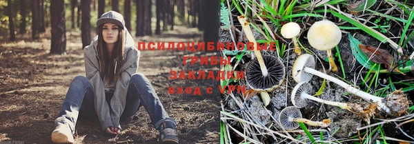 apvp Балахна