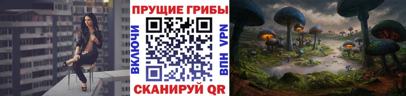 Галлюциногенные грибы Cubensis  shop состав  Баксан  дарнет шоп 
